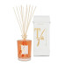 GIFT BOX PAPAIA IBISCO STICKS ML.1500 TRANSPARENT VASE - TFU
