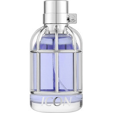 Maison Asrar Icon EDP M 100 ml
