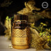 Armaf Odyssey Aoud EDP M 100 ml