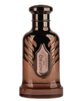 Riiffs Inspiro Men EDP M 100 ml