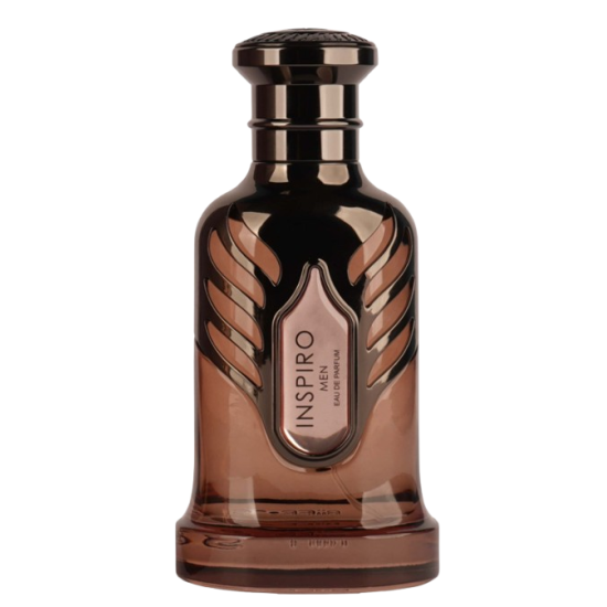 Riiffs Inspiro Men EDP M 100 ml Riiffs Inspiro Men EDP M 100 ml