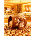 Tubbees Golden Praline Bliss EDP U 50 ml