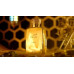 Rasasi Hawas Elixir EDP U 100 ml
