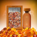 French Avenue Amber D´or EDP U 100 ml