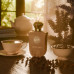 Gulf Orchid Coffee Note EDP U 100 ml