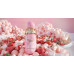 Paris Corner Marshmallow Blush EDP U 100 ml