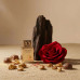 Swiss Arabian Shaghaf Oud Elixir EDP U 25 ml