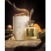Emir Pour Me Wild EDP U 100 ml