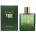 Rayhaan Jungle Vibe EDP U 100 ml