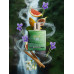 Rayhaan Jungle Vibe EDP U 100 ml