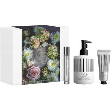 SET Olfactive facet 301 (EdP 10 ML + Hand Wash 300 ML + Hand Cream 50 ML)