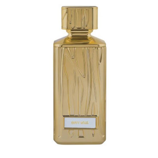 Hamidi Envy Gold EDP W 100 ml